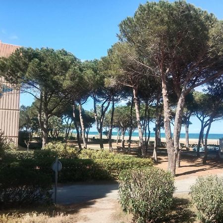 Belle Vue Au Calme Sur La Plage Argeles-sur-Mer Ngoại thất bức ảnh