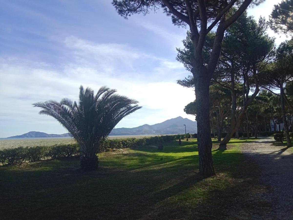 Belle Vue Au Calme Sur La Plage Argeles-sur-Mer Ngoại thất bức ảnh
